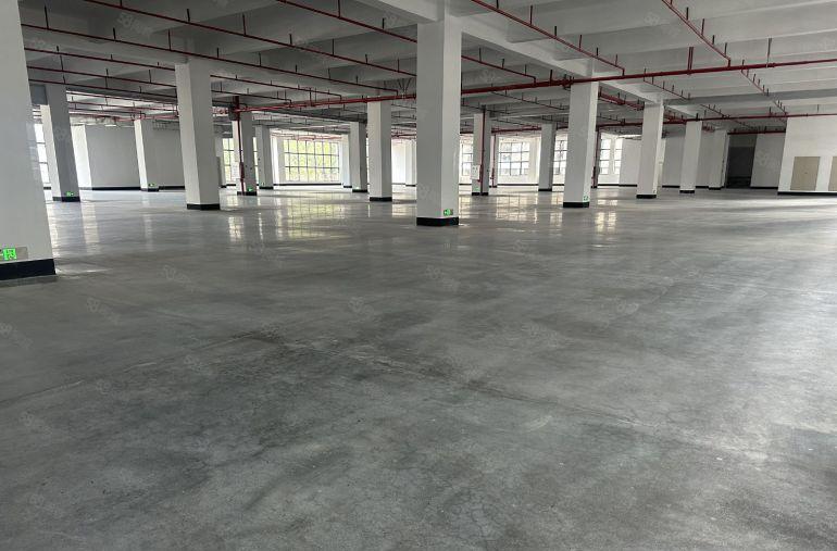 惠州惠阳镇隆原房东厂房出租5000平单价10元300平起租