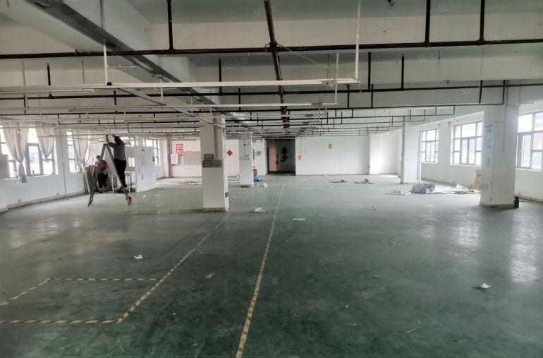 邻深坑梓秋长白石原房东红本厂房600平带装修起低价出租