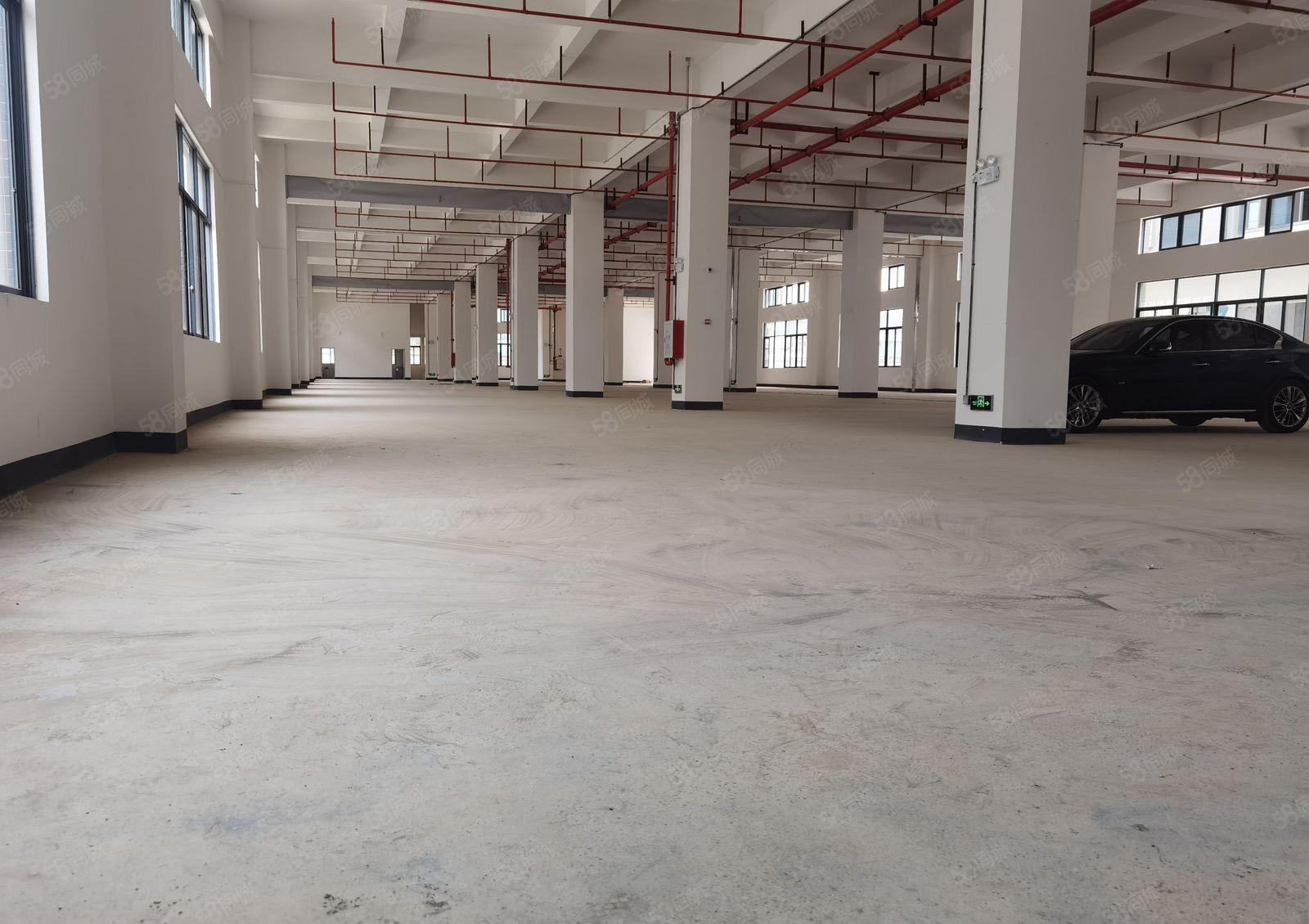 惠州惠阳新圩镇长布村全新经典原房东独门独院标准厂房出租