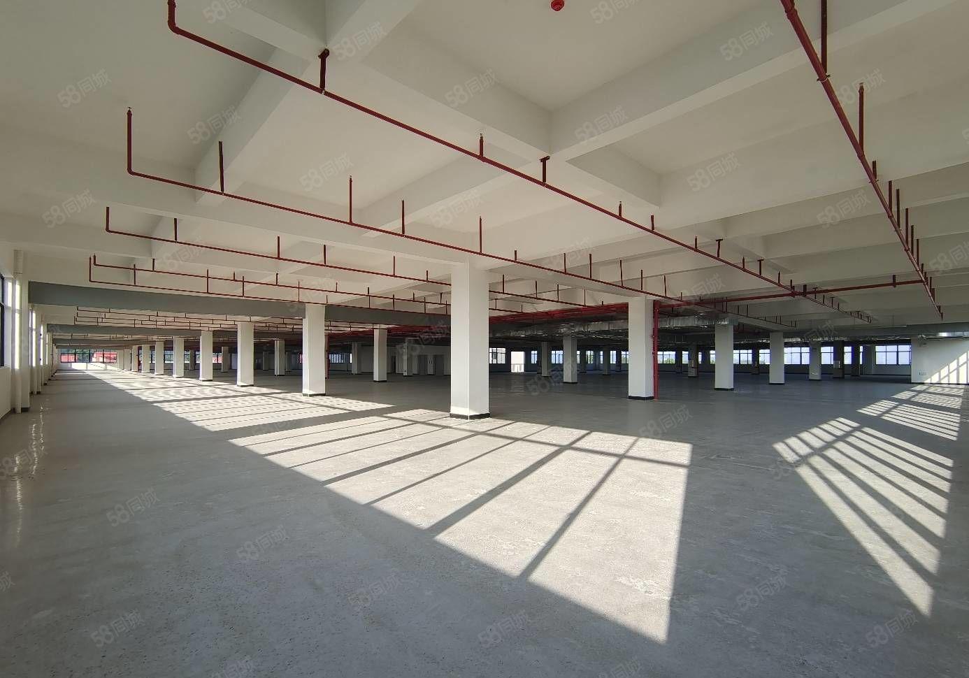 惠阳平潭怡发工业区全新红本标准厂房火热招租 大小面积可分租