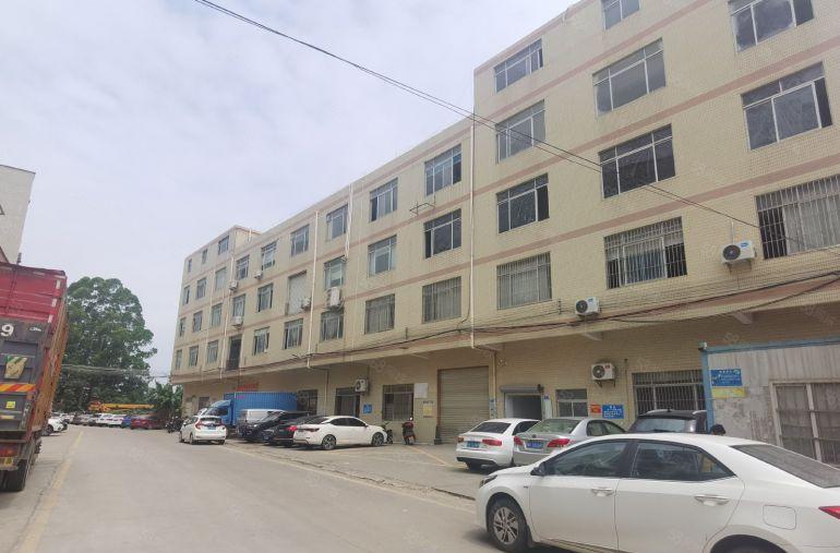 惠阳秋长维布原房东标准厂房出租