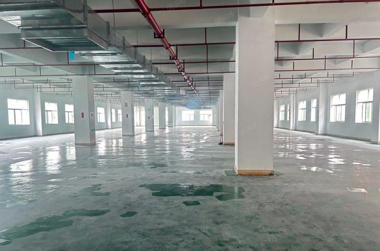 惠阳秋长红色干线旁边新出原房东标准一楼厂房仓库低价出租可分租