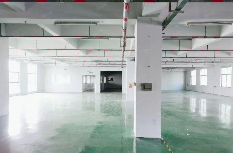 12元，秋长新塘楼上带装修1000平标准厂房仓库出租，可分租