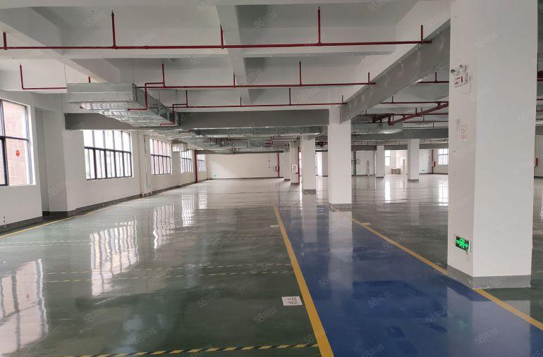 8元带装修！惠阳镇隆靠近沥林原房东2楼2000平方低价出租