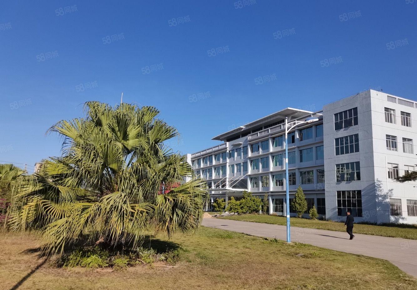 镇隆6千平原房东红本厂房出租，形象好，主线到车间，可分租