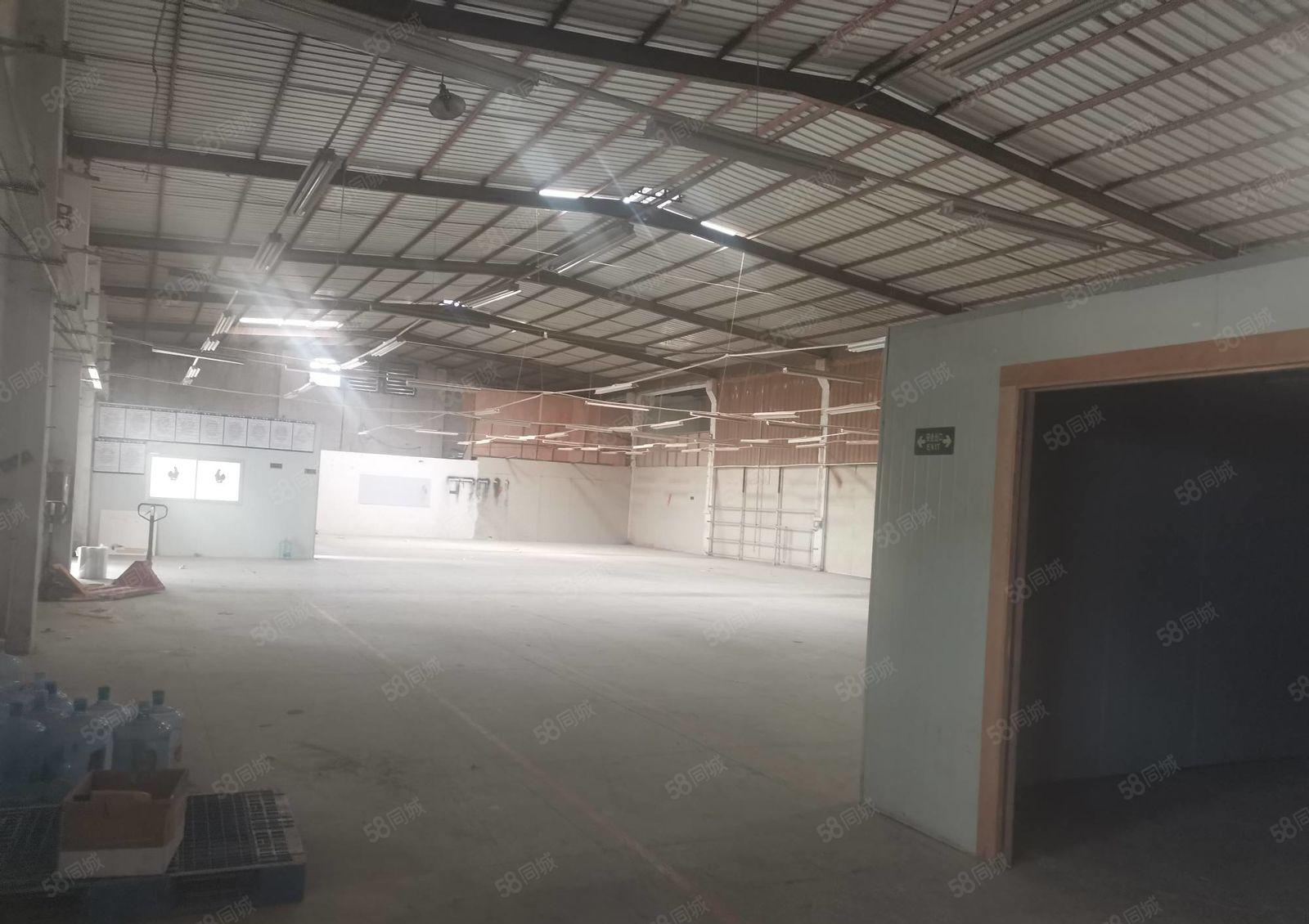 惠阳秋长维布新出低价红本钢结构5950平带喷油设备周边无居民