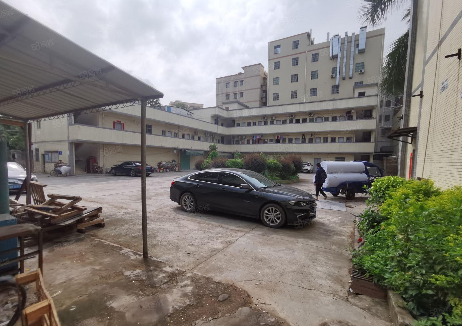 红本标准1楼厂房出租