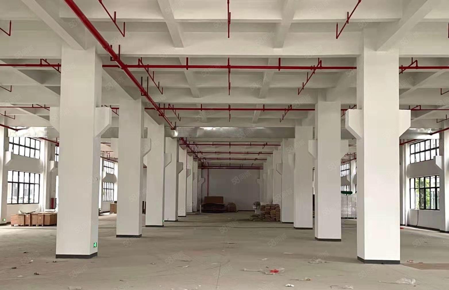 惠阳镇隆皇后全新厂房46000平出租1000平起租