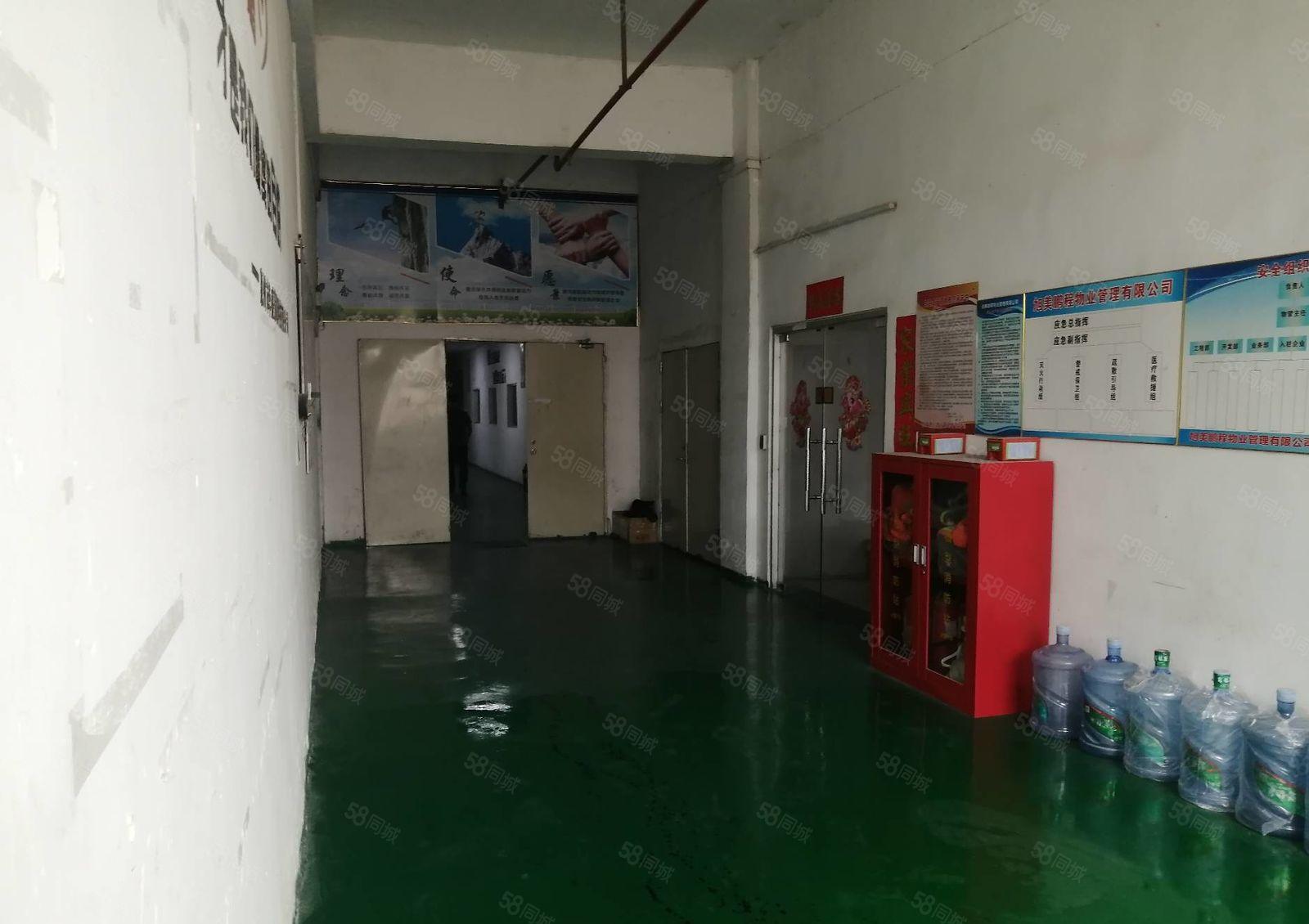 惠阳秋长新出现成装修地坪漆1300