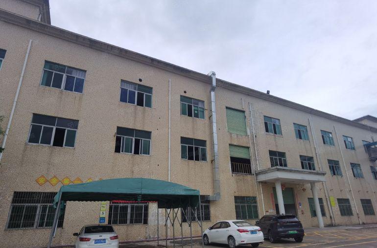 带喷淋！塘口工业区新出1500平米一层共2层3000平米厂房