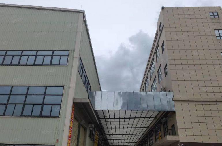 层高12米惠阳新圩原房东钢构5000平现成办公室可分租