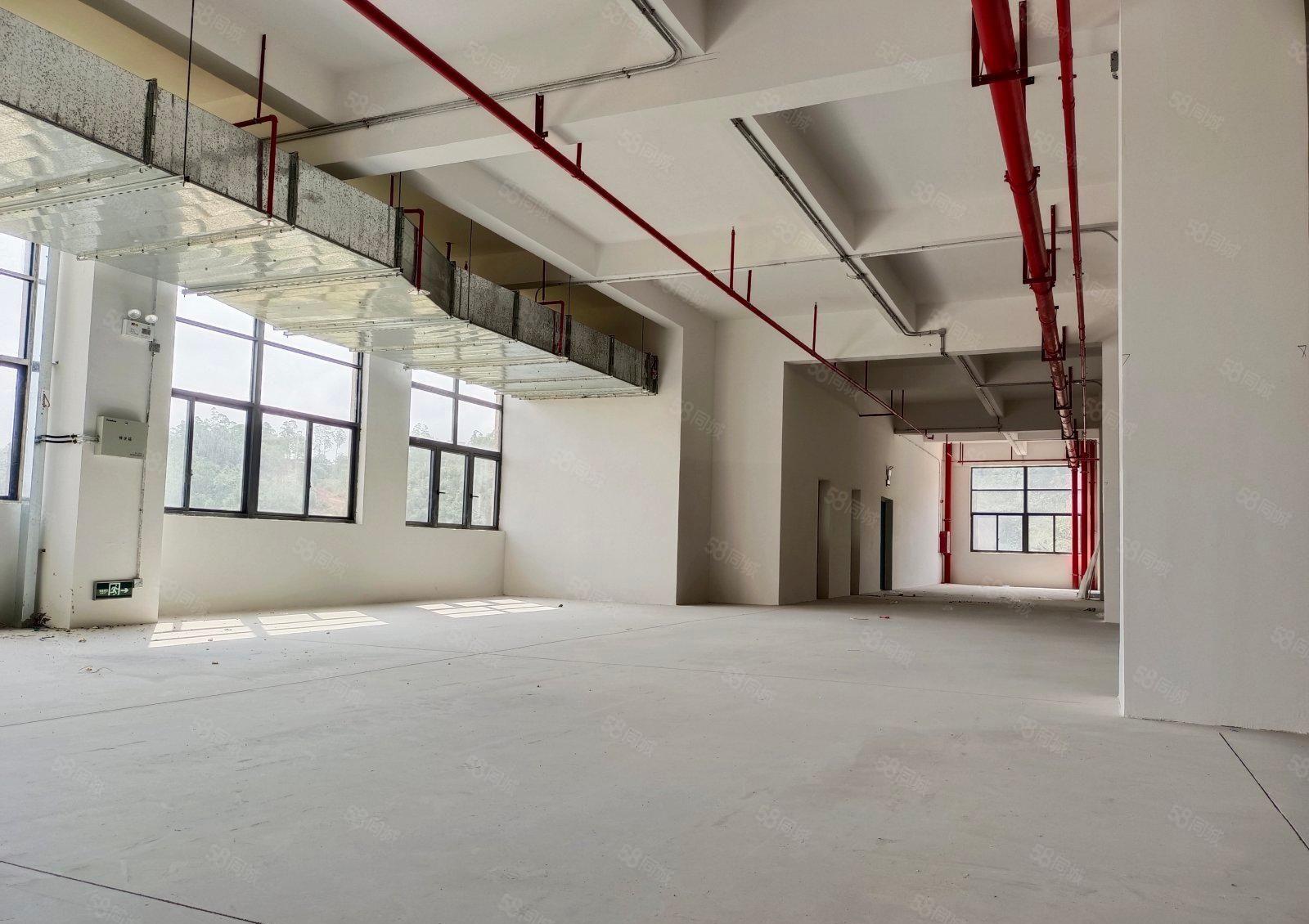急租5吨货梯 惠阳秋长维布6000平米厂房出租大小分租带红本