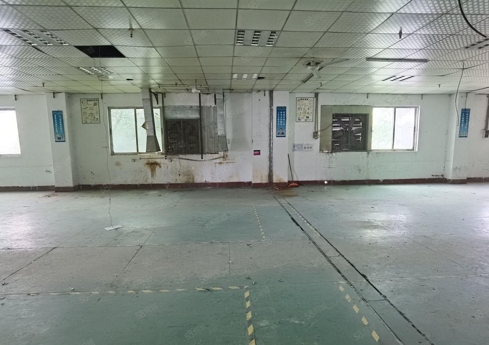 惠州惠阳区镇隆镇7500标准三层厂房原房东出租可整租可分租