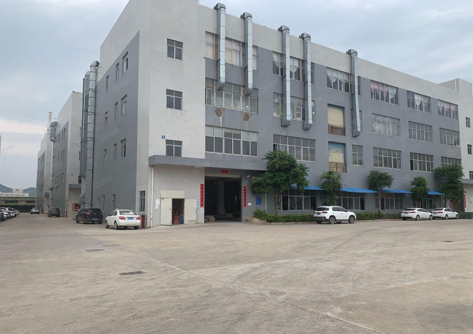 秋长镇白石工业区豪华装修三楼650平厂房出租可办环评