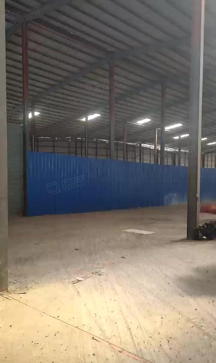 惠阳区沙田镇新出可做破碎2300平钢构厂房