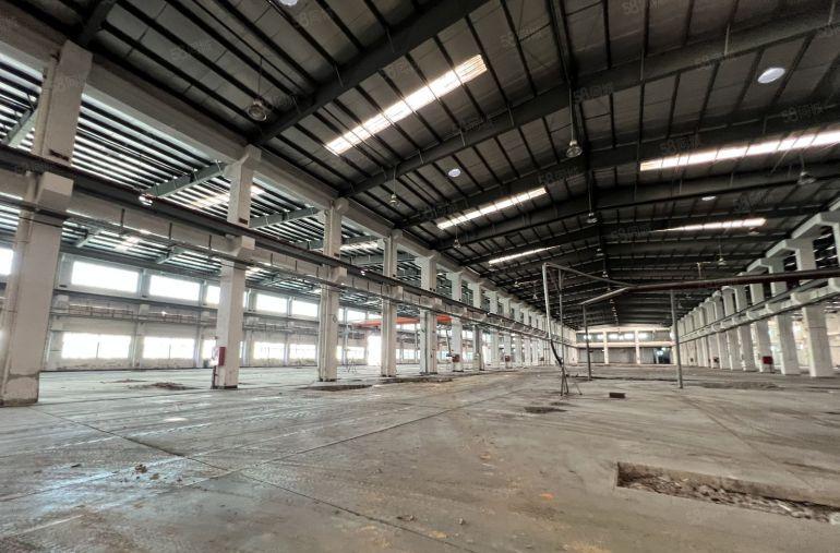 滴水12米带牛角钢构厂房5700平米可以分租原房东直接出租