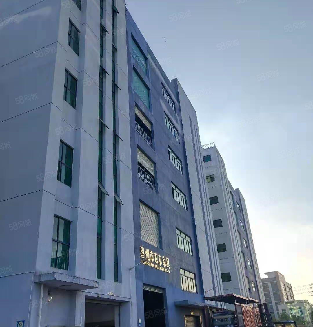 惠阳沙田原房东园区独栋6层标准厂房8米高12000平含税出租