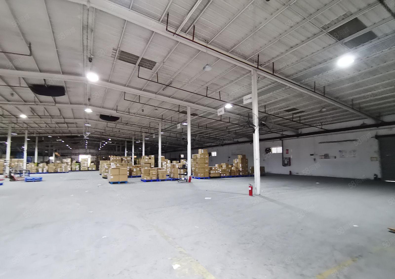 2百5百8百1千平起分租新墟塘口工业区4千平钢构仓库厂房出租