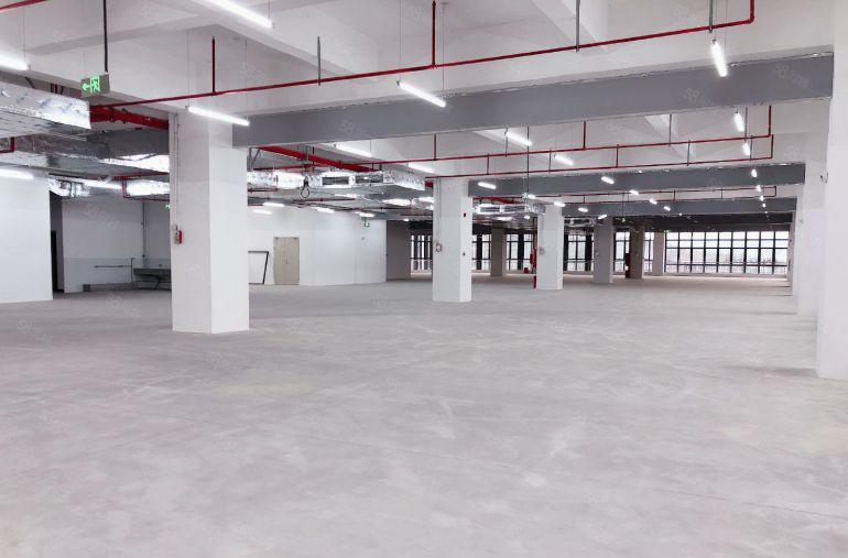 镇隆单价8块，带装修，主线到位，条件好谈，建筑面积出租