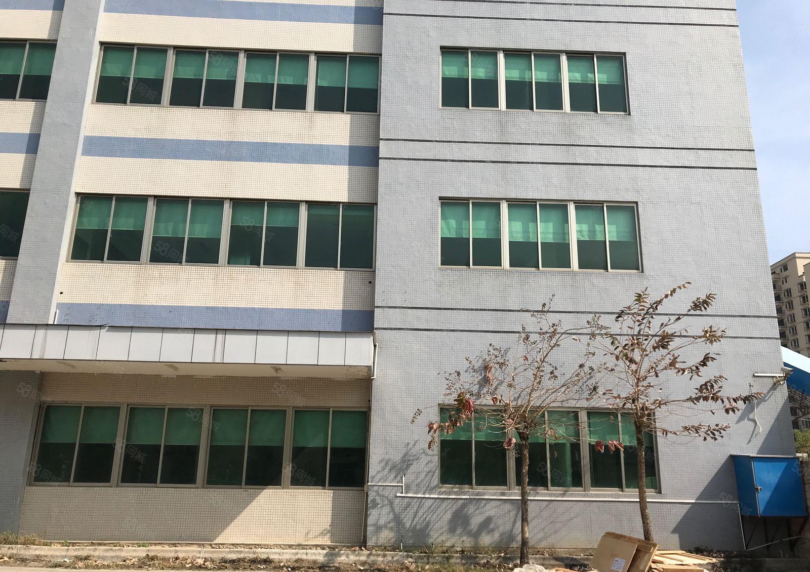 新圩约场花园式独院厂房3800平方出租