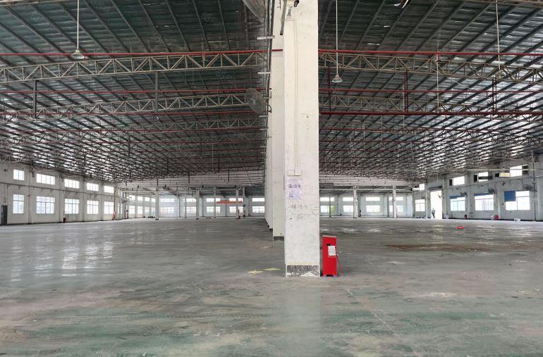 业主急租！镇隆皇后村新出10000平单一层独院厂房仓库出租