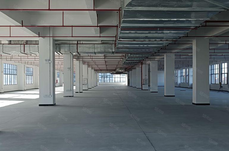 （合同可以签15年）惠阳镇隆205国道边红本重工业厂房出租