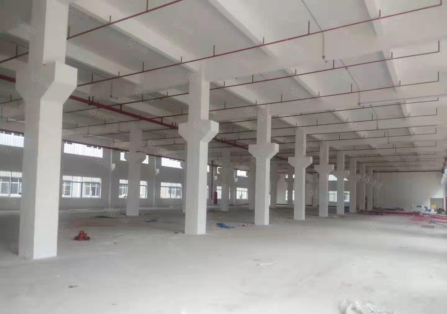 惠州市全新红本产业园原房东12万平标准厂房招租可分租