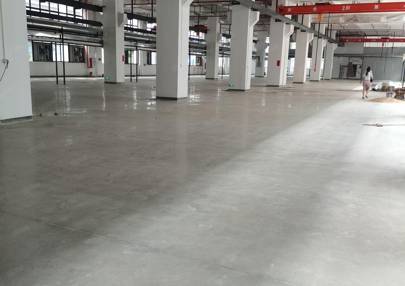 秋长大工业区一楼厂房800平米出租  原房东直接出租可分租急