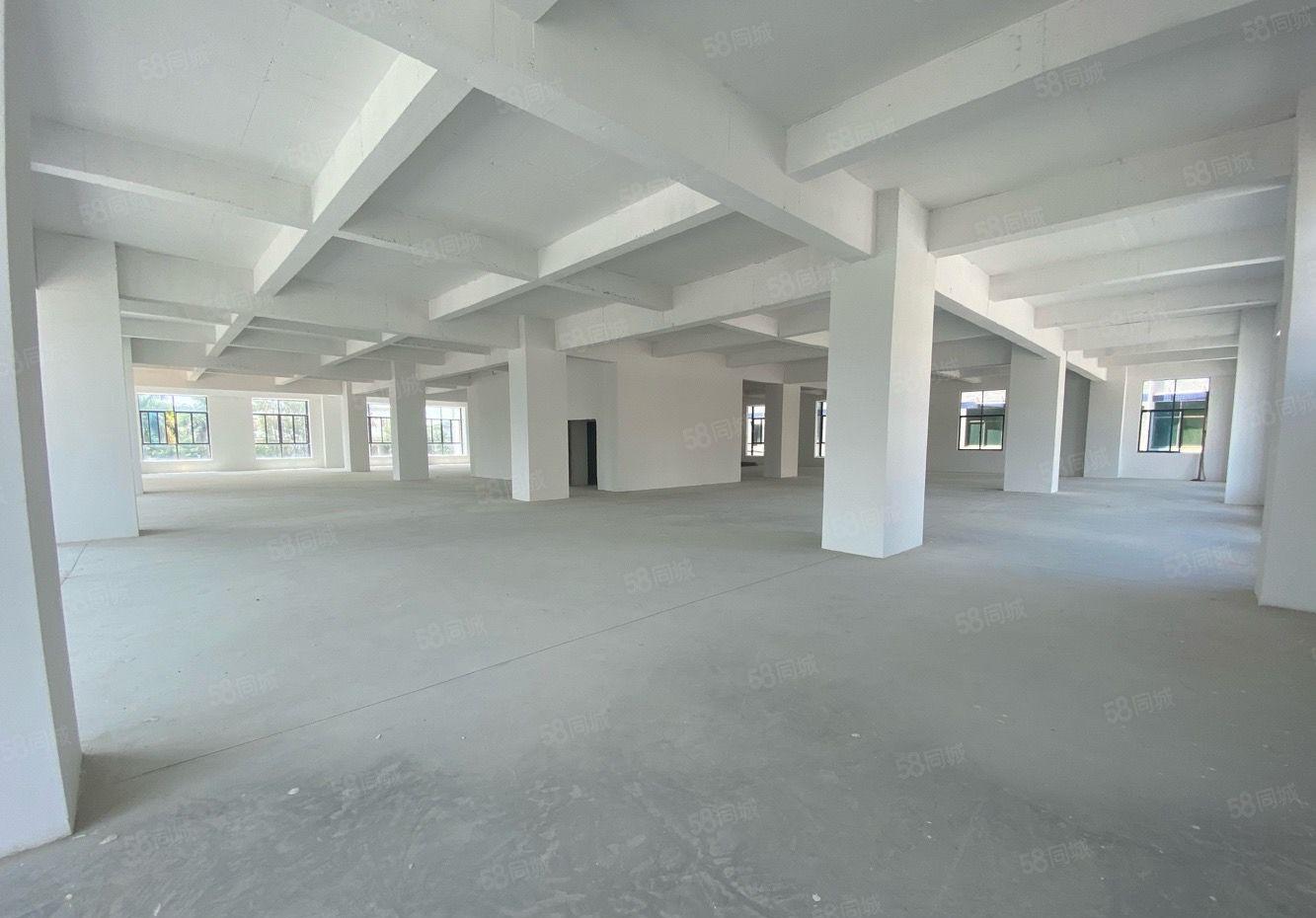 新圩原房东红本6000平独栋全新厂房出租临深临莞路段可分租