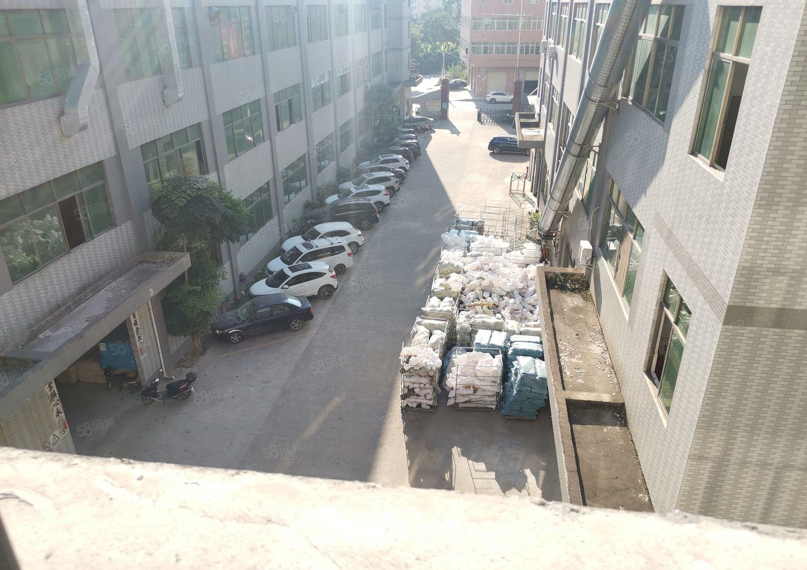 可做喷油！秋长新塘原房东标准厂房4楼600平便宜出租