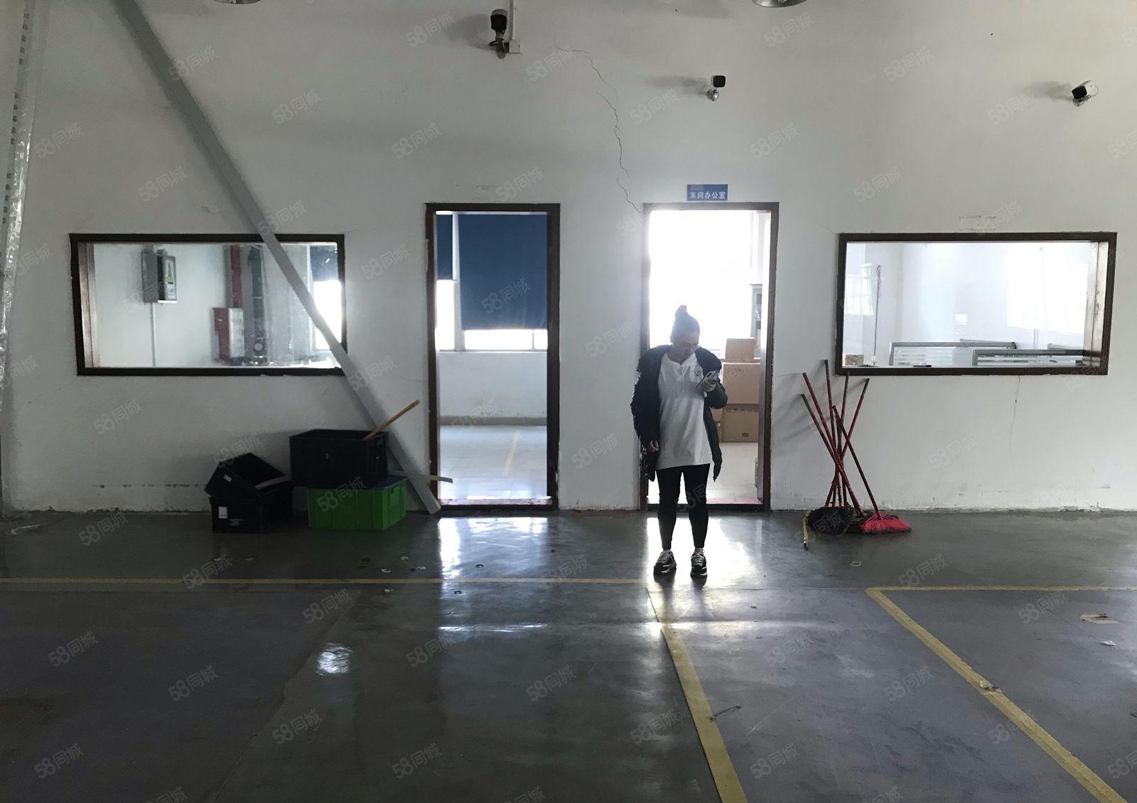 镇隆镇万里工业区新出小面积稀有厂房