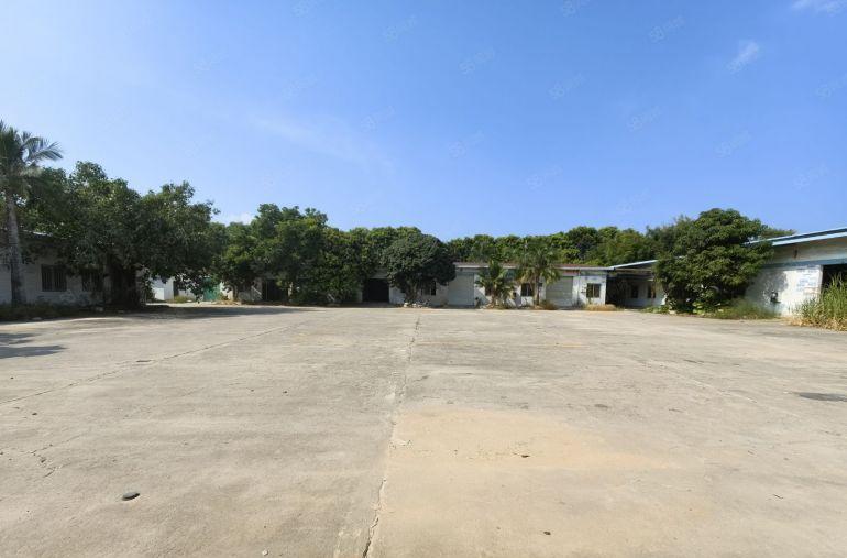 新圩独院钢构厂房2000出租超大空地原房东实际面积出租