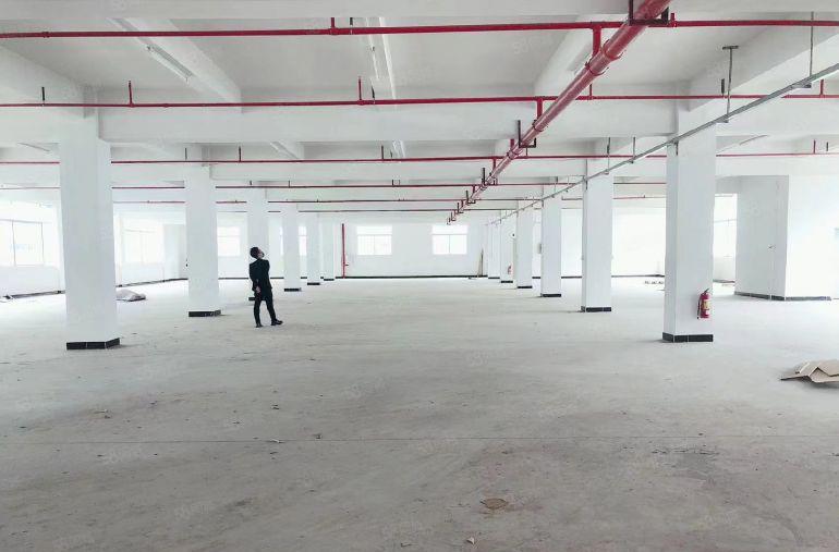 好招工！秋长新塘一楼二楼2000平厂房仓库低价出租 大小分租