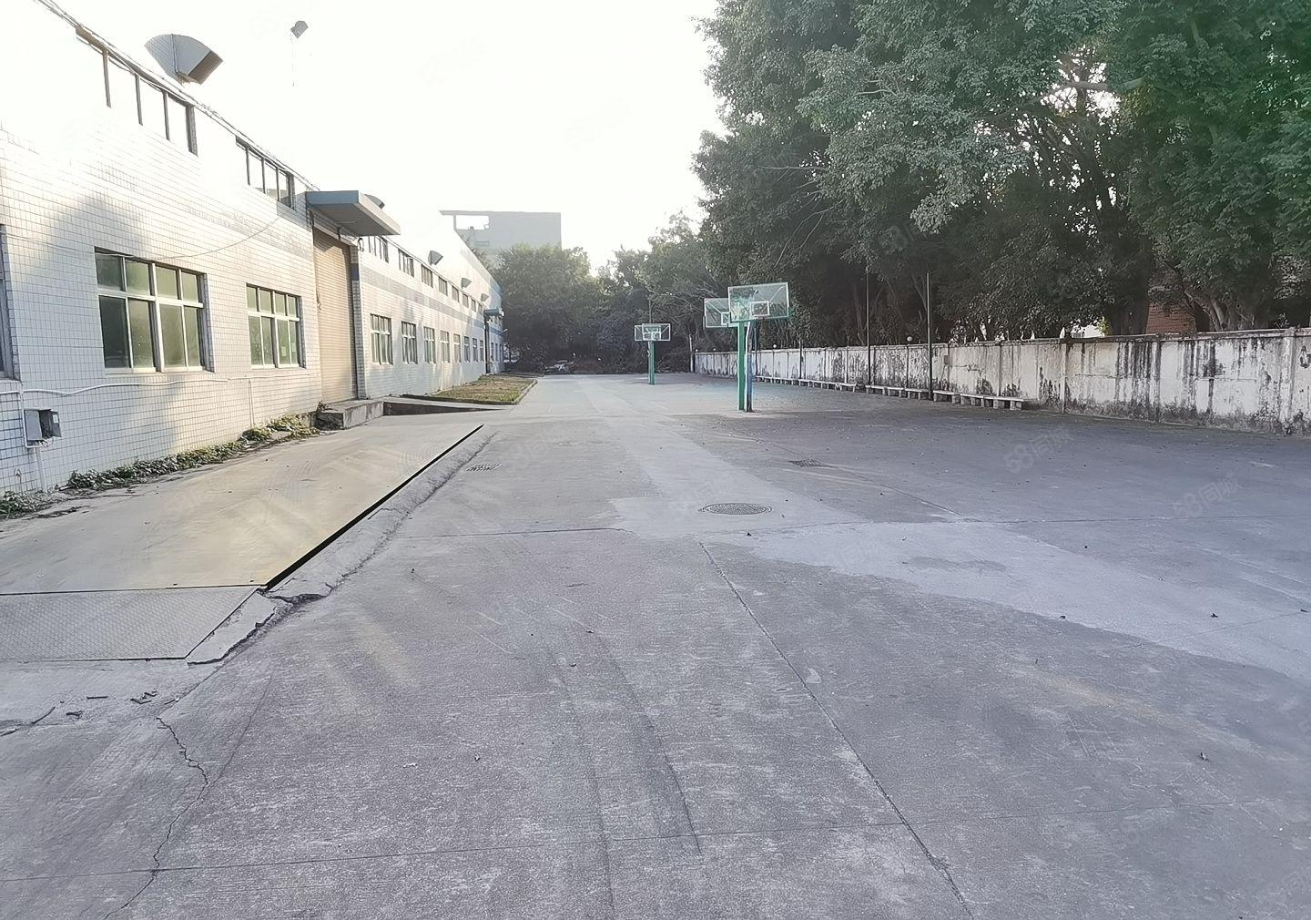 惠阳新圩长布3000平米独栋独院钢构厂房仓库出租大空地原房东