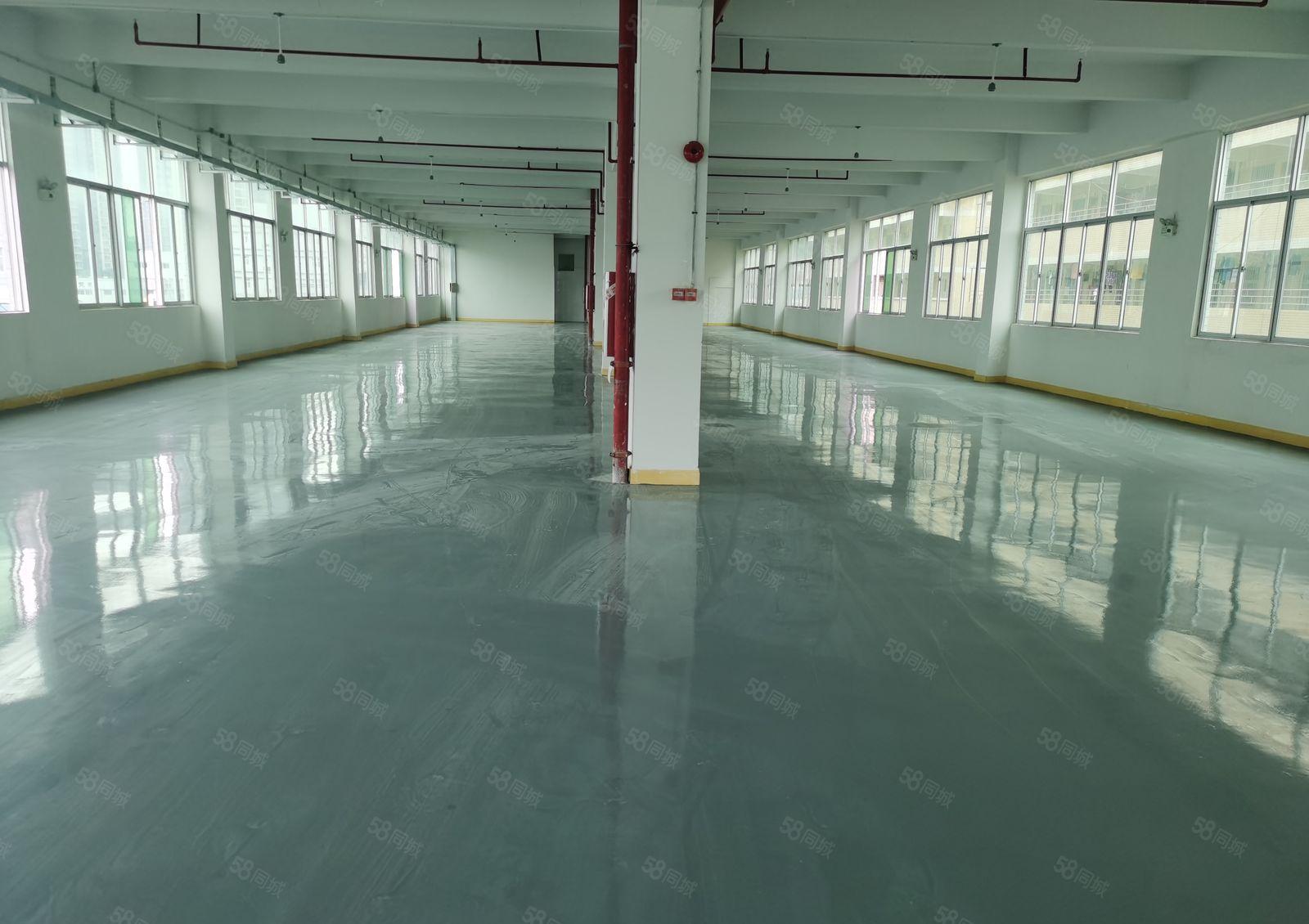 惠阳区淡水独院标准厂房5000平米出租