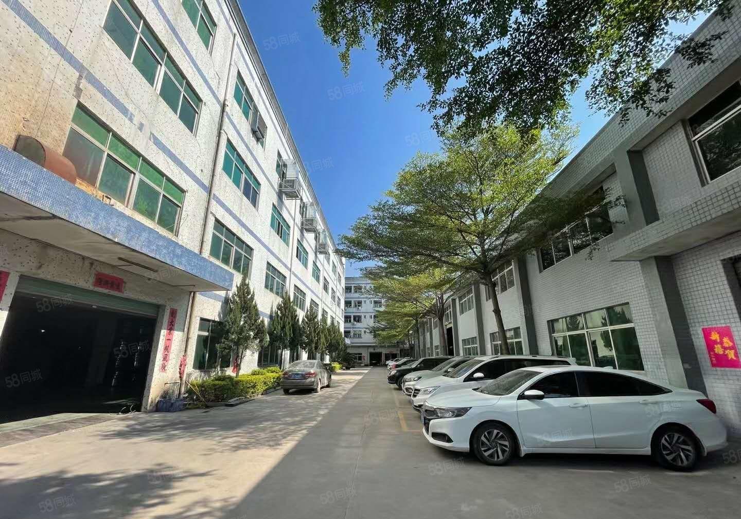 秋长带现成的五金钟表环评厂房出租