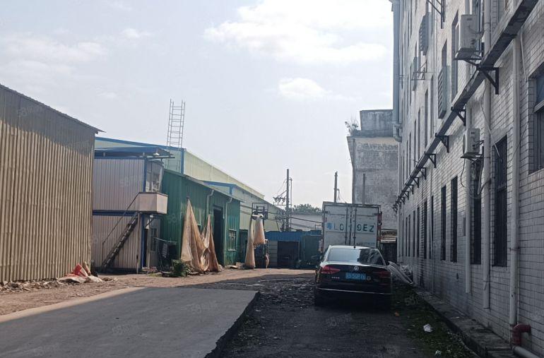 惠阳镇隆高田村新出红本钢结构厂房400平方米