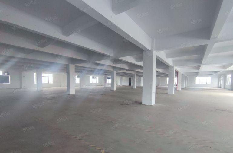 平潭怡发工业区厂房出租一楼1260平楼上单层2560租金7元