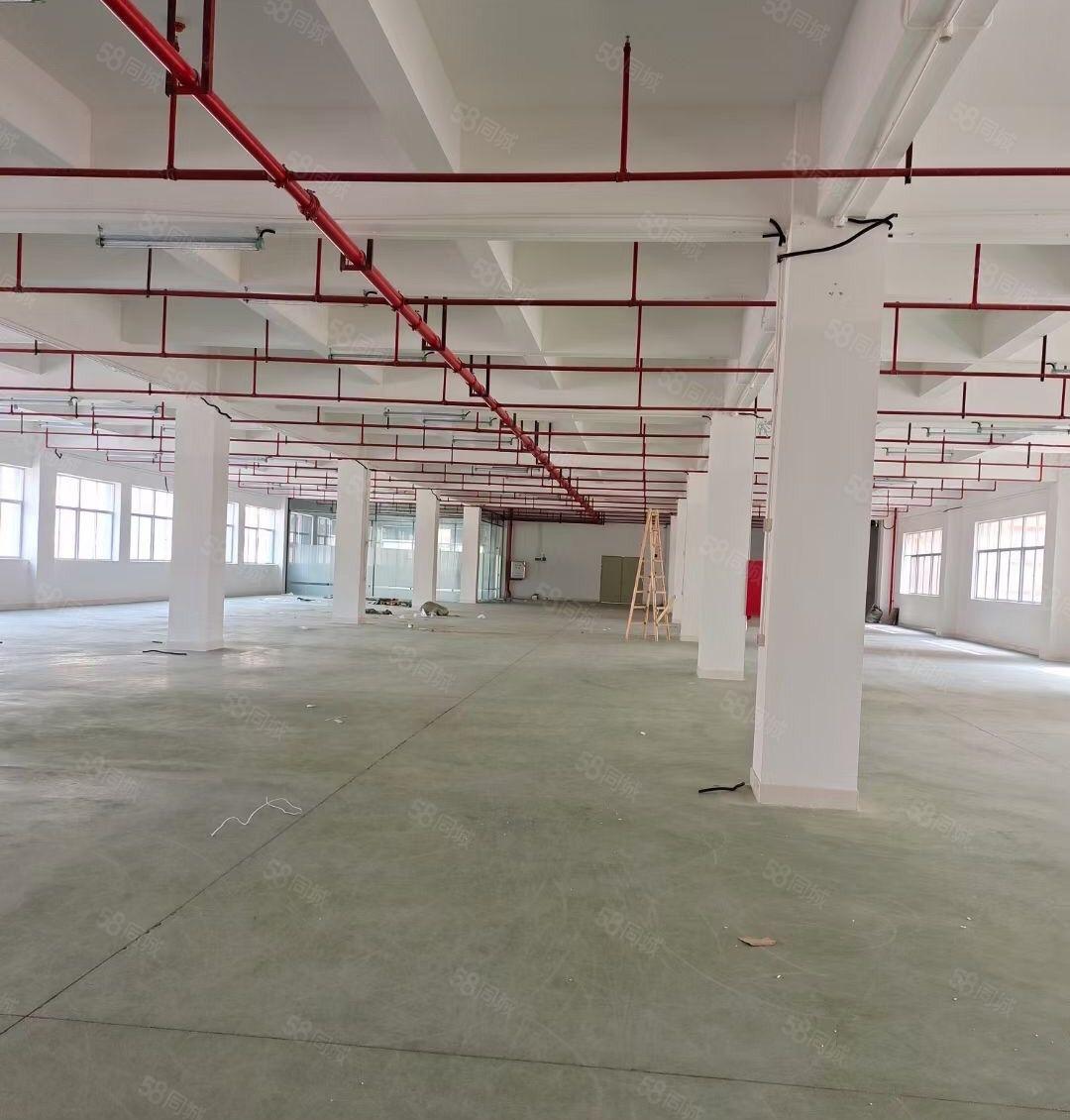 新圩长布楼上厂房仓库500平1000平出租