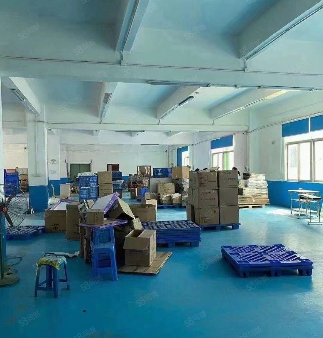 原房东花园式独栋厂房形象好空地大易招工证件齐全可办理环评