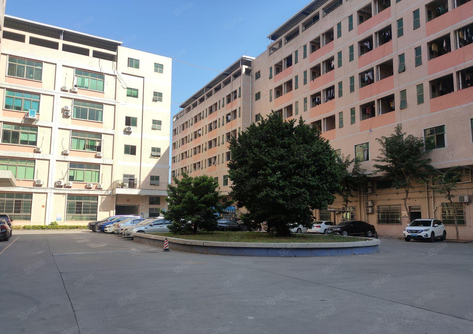 新圩工业区2000平方原房东厂房出租500平方起分租可办环评