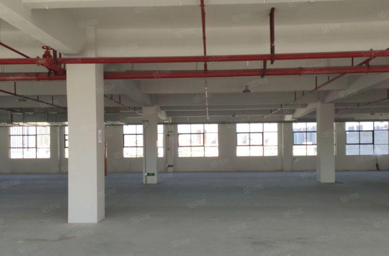 8块，惠阳镇隆原房东2000平厂房仓库出租，实际面积形象靓