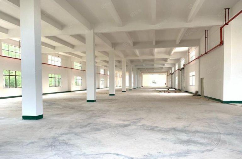 惠州秋长主干道旁村委 独院7200低价出租 齐全 院长大