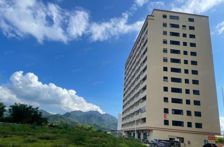 惠州镇隆镇全新13.5万平红本重工厂房