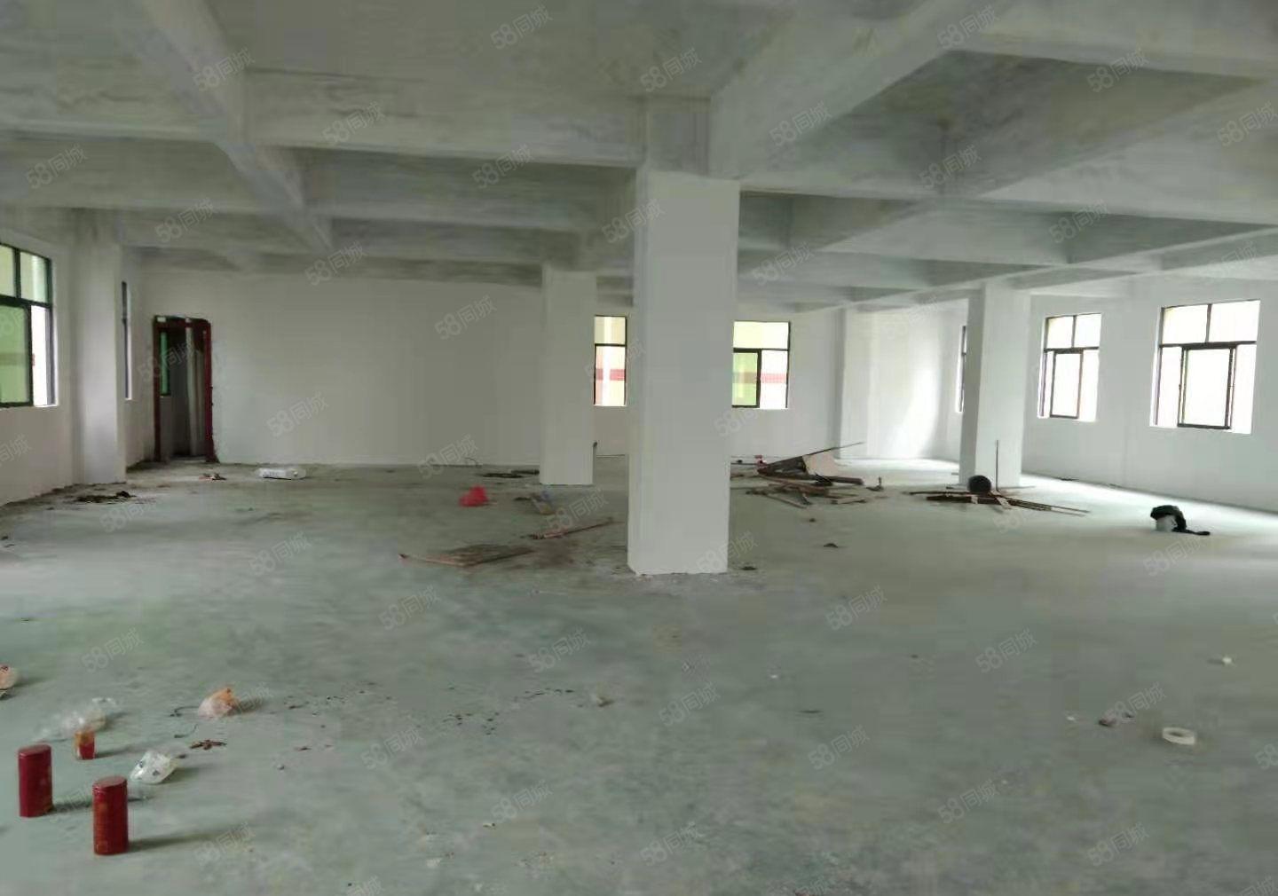 秋长新塘独栋厂房，证件齐全，大小可分