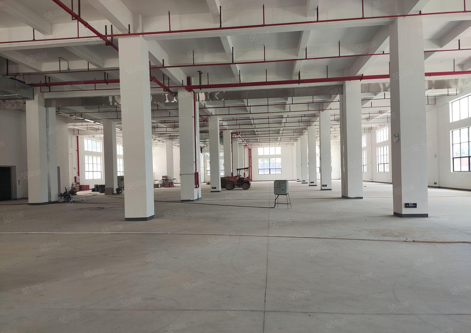 惠阳三和开发区新出标准红本厂房上市公司园区21600平米招租