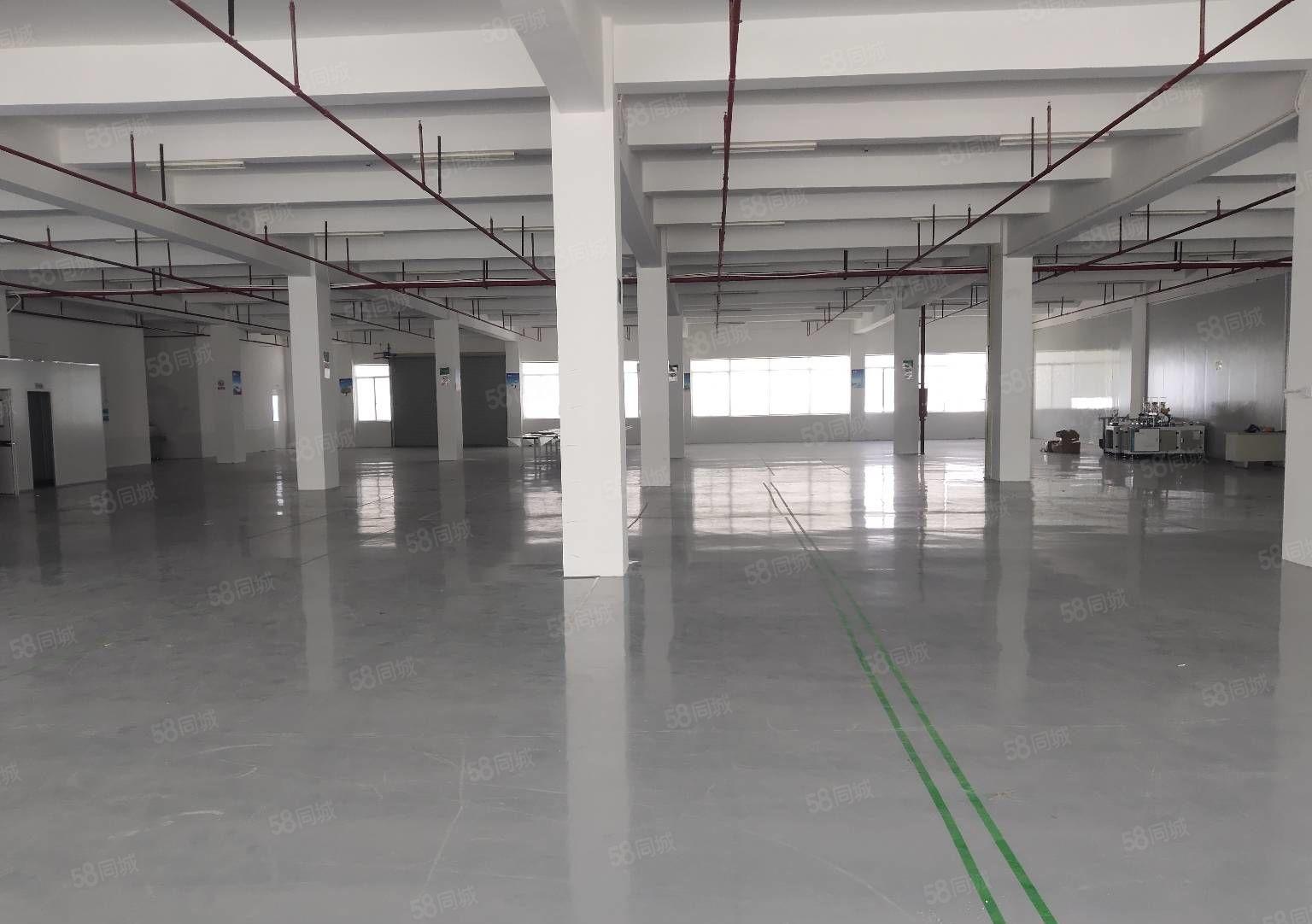 惠阳秋长原房东工业园区红本厂房出租300平起分租可办环评一楼