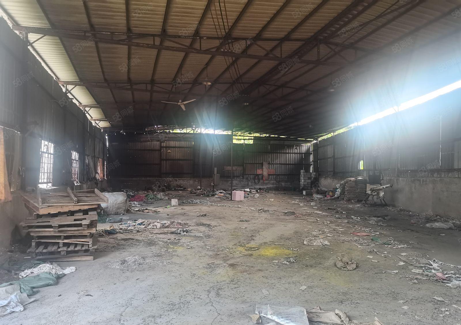 新圩靠山边独栋钢构900平出租