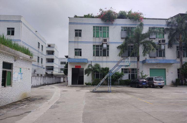 惠阳新圩工业园区独院2百5百8百1千平一楼仓库厂房出租可分租
