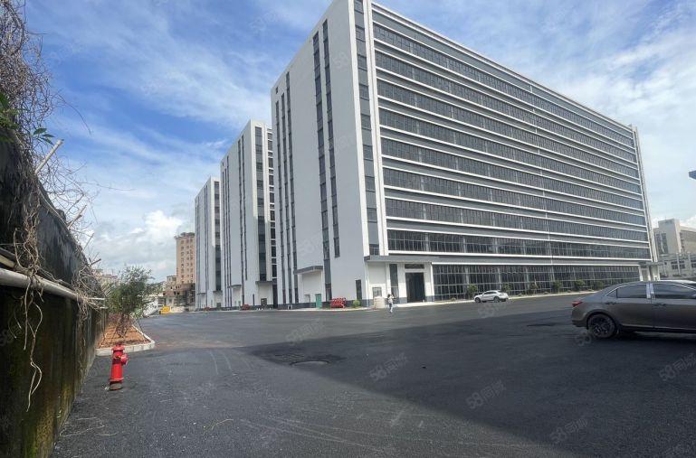 滴水7米！镇隆新出5000平一楼原房东厂房仓库出租 大小分租